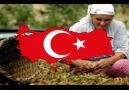 Türk Olmak