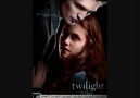 Twilight - Flightless Bird, American Mouth [HQ]