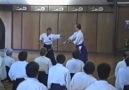 TWO SWORDS of AIKIDO Part 03 [HQ]