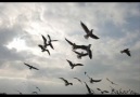 Ümit Sayın & Leman Sam Aşkımdan Vazgeçme 2011