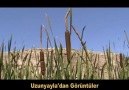 Uzunyayla'dan görüntüler..