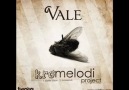 VALE - Kromelodi Project