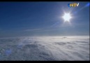 Vedel Foku  Antartika [HQ]