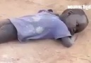 Vicdanların en kurak yazı... (Utan beyaz adam)