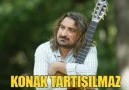 Volkan konak - Mimoza çiçeğim