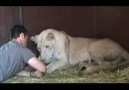 Wild animals love this men! [HQ]