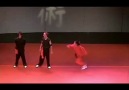 wushu  hareketleri   .............