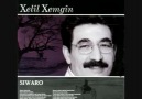 xelil xemgin-- newroz