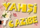 Yahşi Cazibe roman havası 2011BY TAYFO