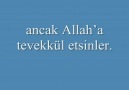 YALNIZ ALLAH A TEVEKKUL ET