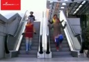 yeni moda inen/cikan merdivene ters binme... by kamal k.o
