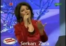 Zara - Yeşil Başlı Gövel Ördek