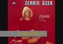 Zerrin Özer-Gönül