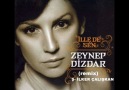 ZEYNEP DİZDAR - İL LE DE SEN ( Ş- İLKER ÇALIŞKAN ) [HQ]