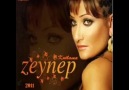 Zeynep - sonumuz belli - 2011