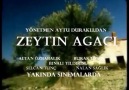 ( ZEYTİN AĞACI ) PEK YAKINDA SİNEMALARDA [HQ]