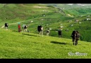 Abdurrahman Değirmenci - Tüm Yaylacılara... - Kemence-Muhabbet-Horon.