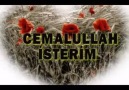 Abdurrahman ÖnüL - CENNETTE CEMALULLAH iSTERiM ((harika iLahi))