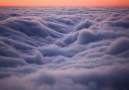 Above the Fog