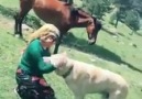 ABUK SUBUK - bir köpege yemek ver yanından ayrılmaz Facebook