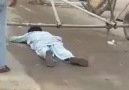Accident Due to Electrocution Through