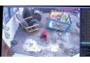 According to sender the baby was about... - A Fortress Of Fur