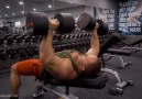 Achieve Chest Gains With This 8 exercise workout.