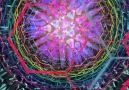Acidmath - Check out this $1000 kaleidoscope from Nova...