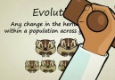 Açıkça Açıkla: Evrim Nedir?