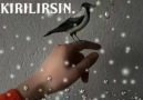 Acı oldun (En güzel videolar için sayfamızı begenebilirsiniz ..