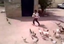 Aç tavukların saldırısına uğrayan çocuk süper :))