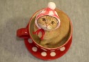 A Cup Of Cat