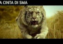 Ada Cinta Di SMA - Kera sakti vs siluman naga Facebook