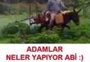 ADAMLAR NELER YAPIYOR ABİ D D