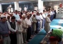 Adana Çukurova üniversitesinde öğretim... - Adana Haznevi Cami