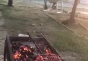 Adanada drone ile mangal yakmak.
