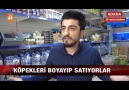 Adanada köpekleri boyayan sayko petshop