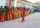 Adana'da muhteşem bir Kürt düğünü izle ve gör :)