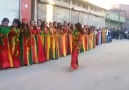Adana'da muhteşem bir Kürt düğünü izle ve gör :)