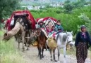 Adanaya bir kız geçti gördün mü... Ali Ercan ..çok güzel