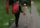 A Day Out With Fred The Skeleton