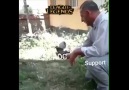 ADC den desteği çektiğiniz anda kaparlar anında D