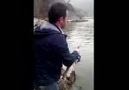 Adem kayanın yayın balığı avı