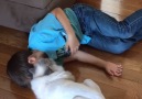 Adorable Kitty really loves its human