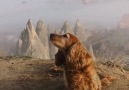 A Foggy Sunday Morning Cappadocia &