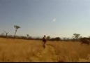 African Buck Hits Biker - Throwback Thursday