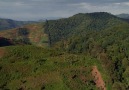 Afrika'yı Kurtarma Projesi