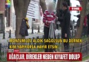 AĞAÇLAR DİREKLER NEDEN KIYAFET DOLU