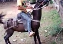 Agarrese compa