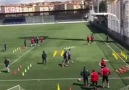 Agility circuit with the ball included